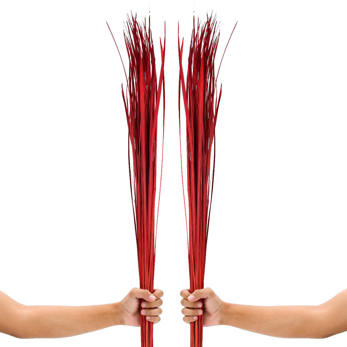 2-Pack Rattan Sticks for Floor Vases – Natural Decorative Twigs ( 8 per Bundle), red, Dried Grass