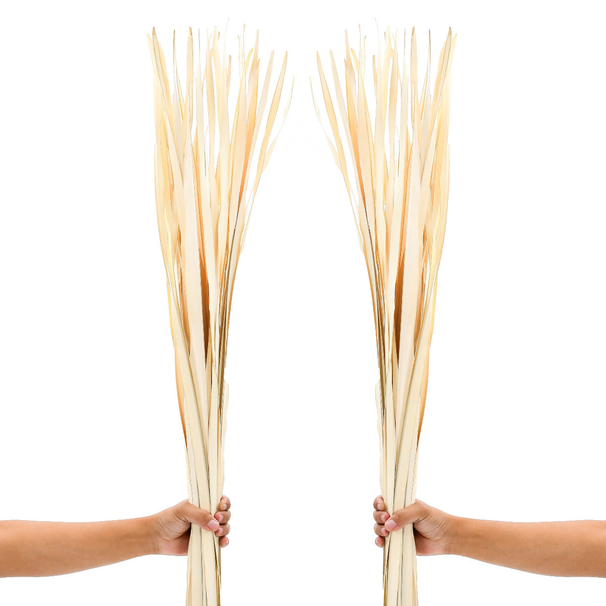 2-Pack Rattan Sticks for Floor Vases – Natural Decorative Twigs ( 8 per Bundle), ecru, Palm Leaf