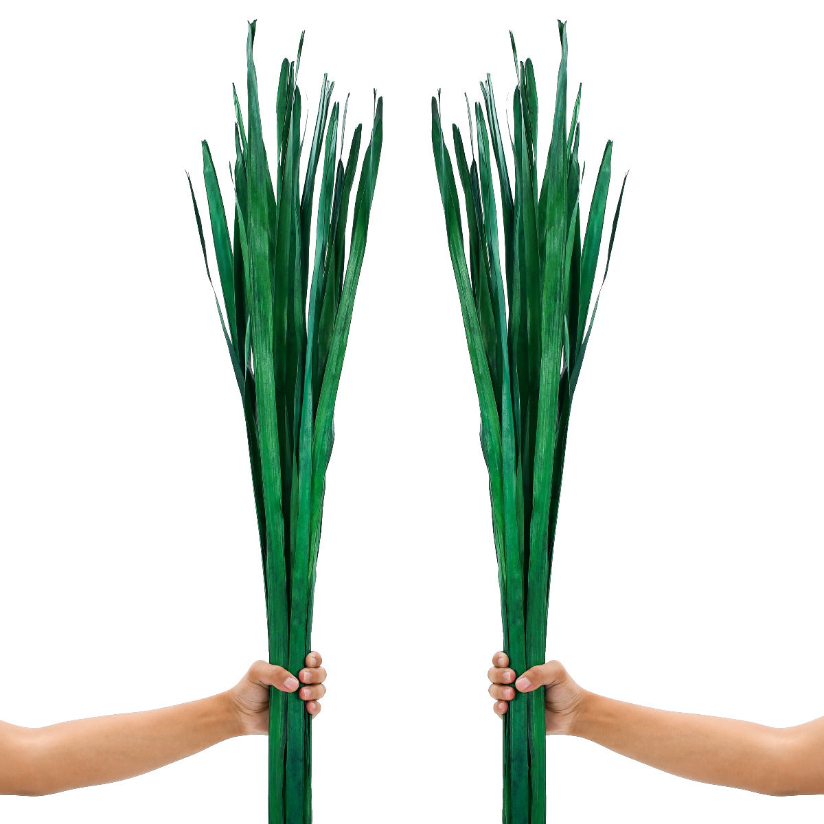 2-Pack Rattan Sticks for Floor Vases – Natural Decorative Twigs ( 8 per Bundle), light green, Palm Leaf