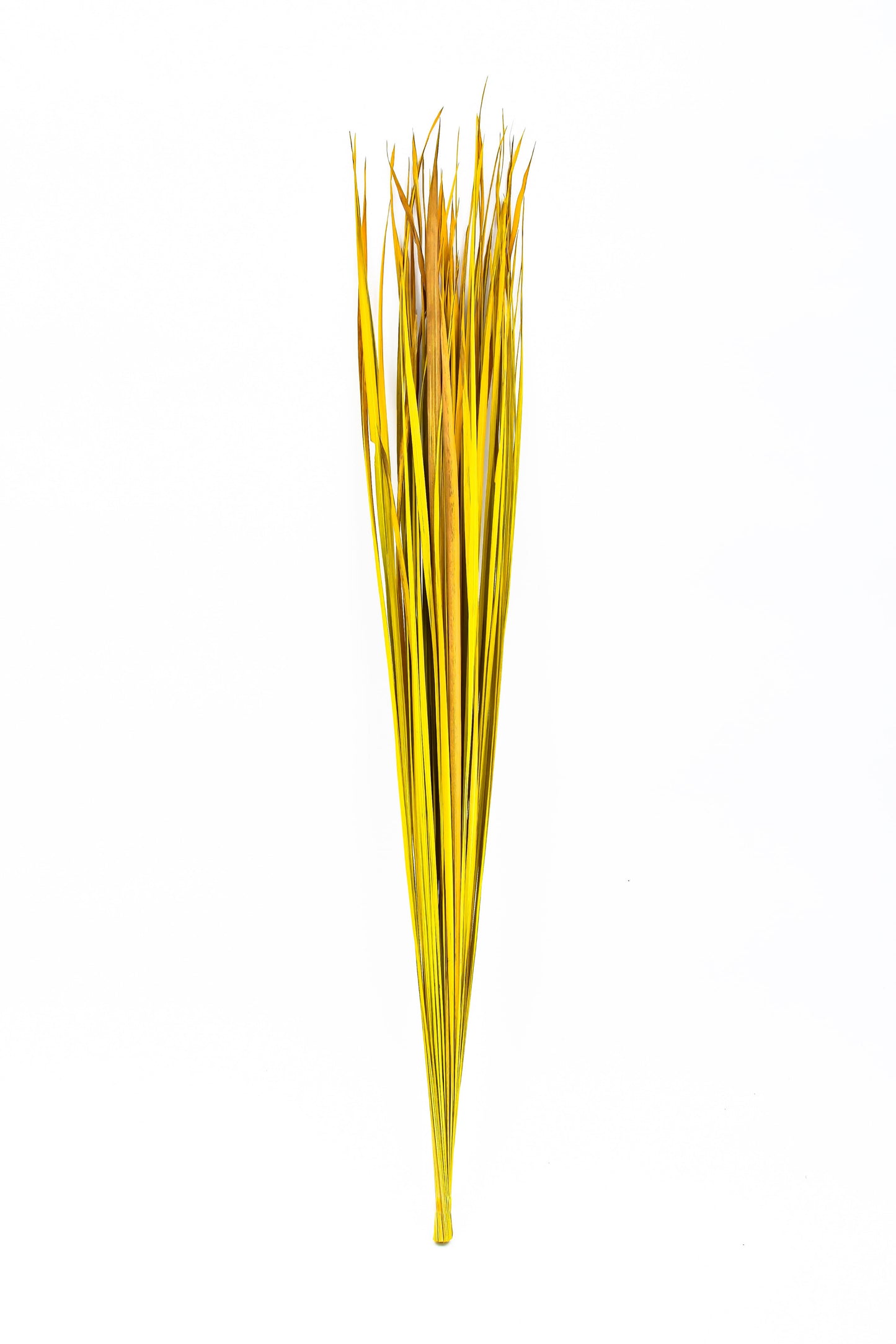 Set di 2 Mazzi di Rami in Rattan per Vasi da Terra – 8 Bastoncini per Mazzo