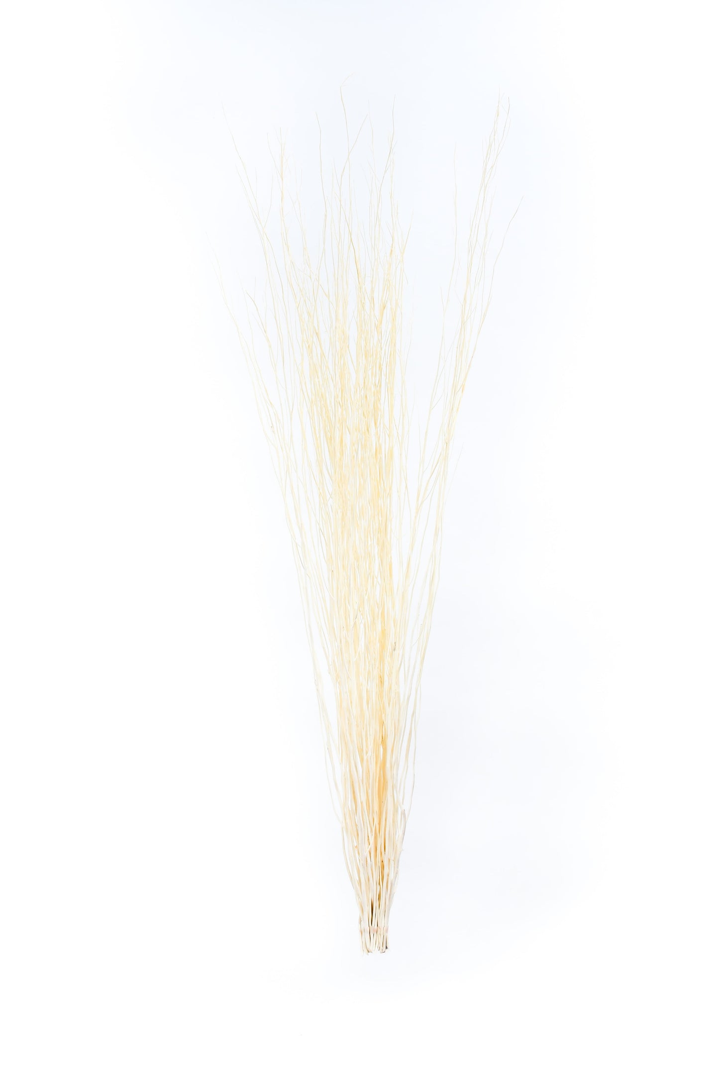 Set di 2 Mazzi di Rami in Rattan per Vasi da Terra – 8 Bastoncini per Mazzo