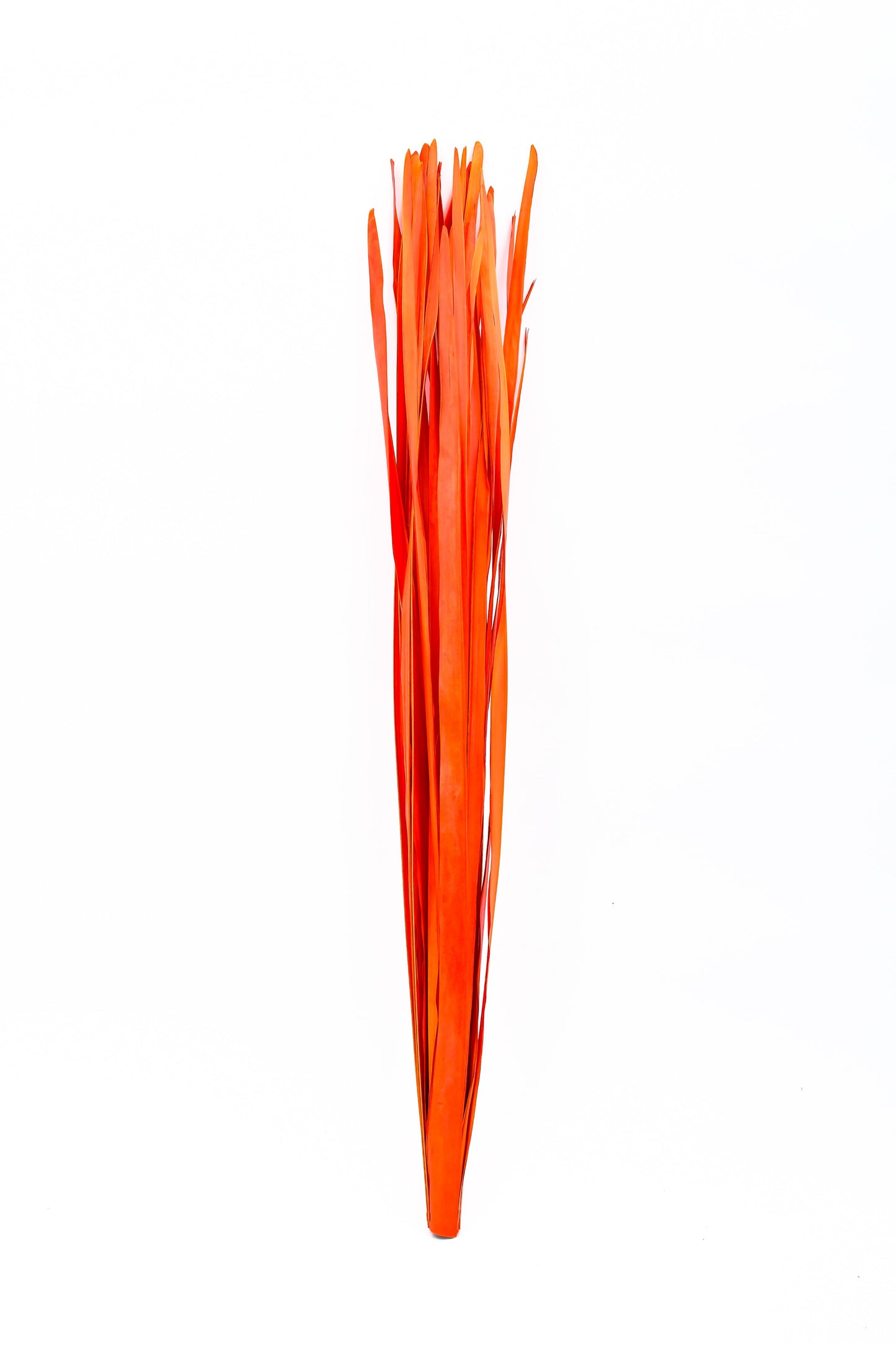 Set di 2 Mazzi di Rami in Rattan per Vasi da Terra – 8 Bastoncini per Mazzo